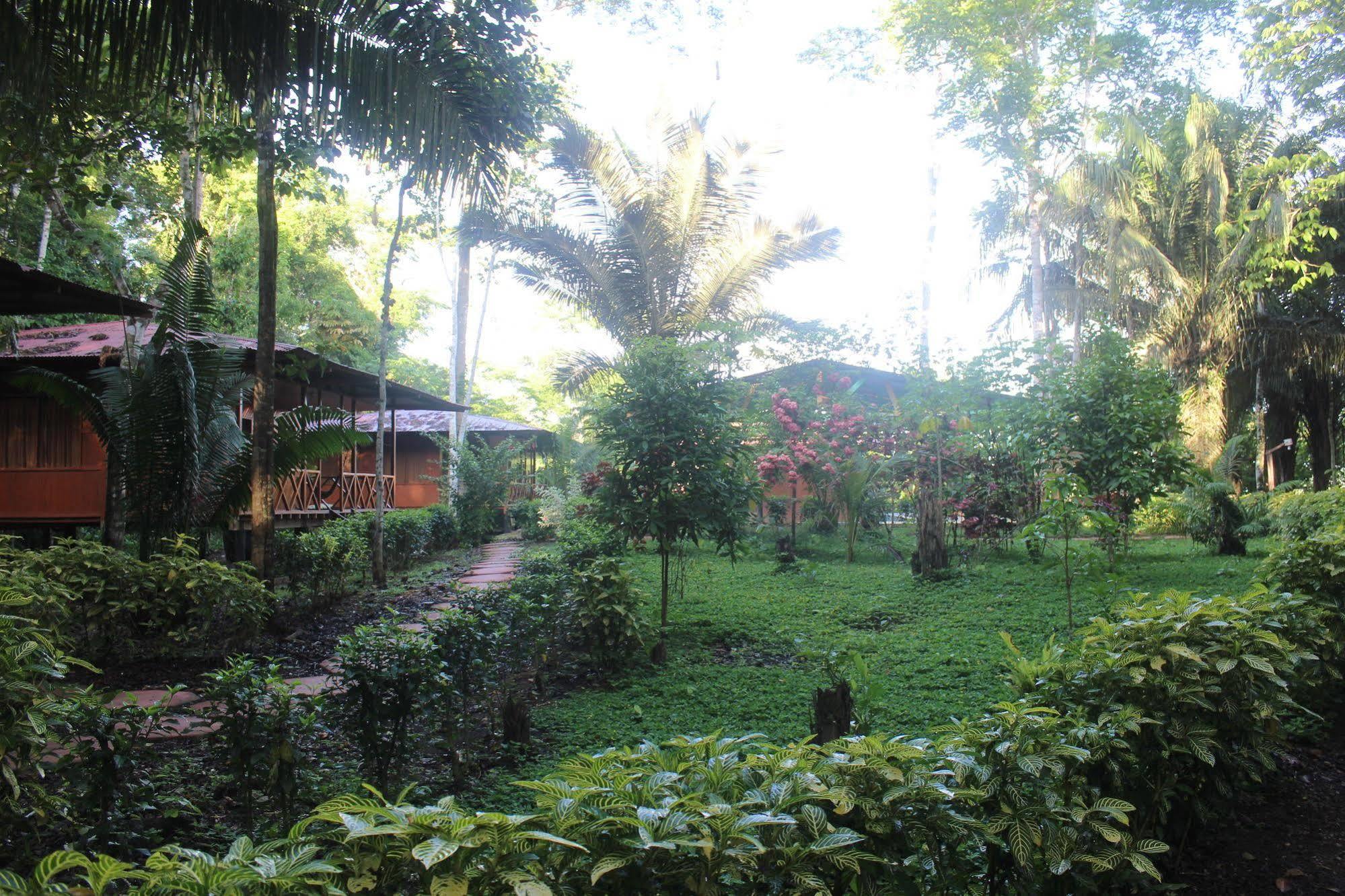 Monte Amazonico Lodge Tambopata Luaran gambar